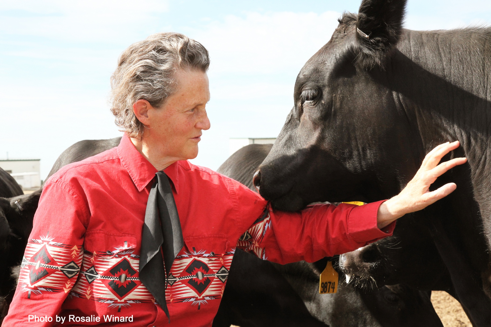 Temple Grandin_Livestock Handling Pioneer